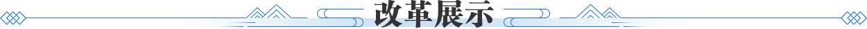 改革展示